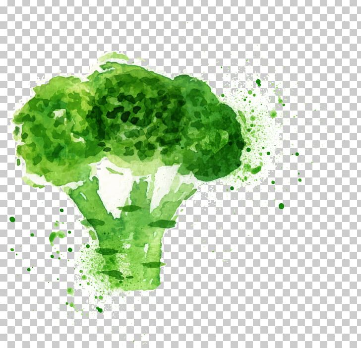 Broccoli Slaw Poster Watercolor Painting PNG, Clipart, Boy Cartoon, Brassica Oleracea, Broccoli, Cartoon, Cartoon Character Free PNG Download