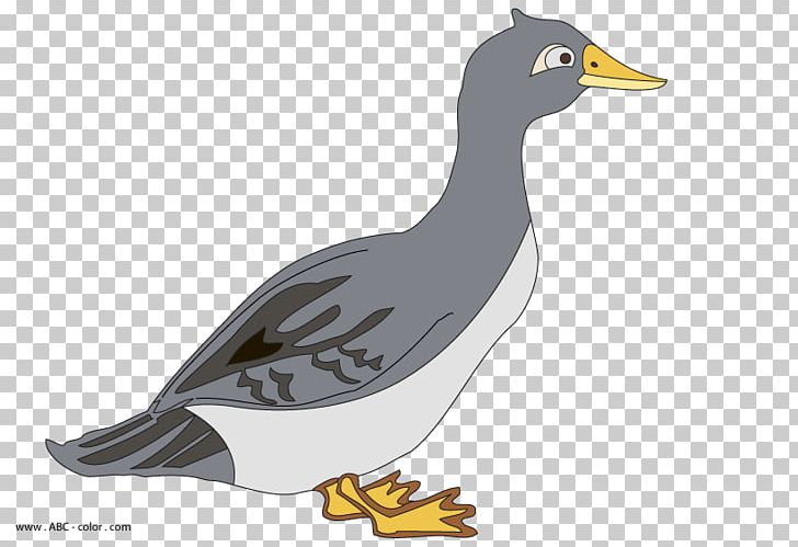 Duck Goose Anser Drawing PNG, Clipart, Animals, Anser, Beak, Bird, Canada Goose Free PNG Download