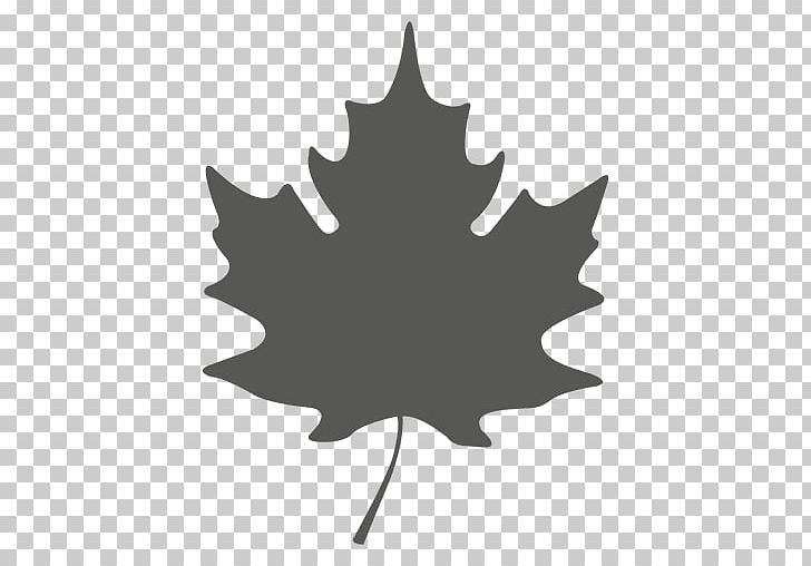 Maple Leaf Door Stops Autumn Leaf Color Green PNG, Clipart, Autumn Leaf Color, Black And White, Deciduous, Door Stops, Flowering Plant Free PNG Download