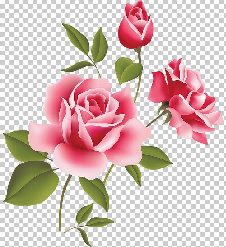 Rose Pink PNG, Clipart, Artificial Flower, Blog, Cut Flowers, Floral Design, Floristry Free PNG Download