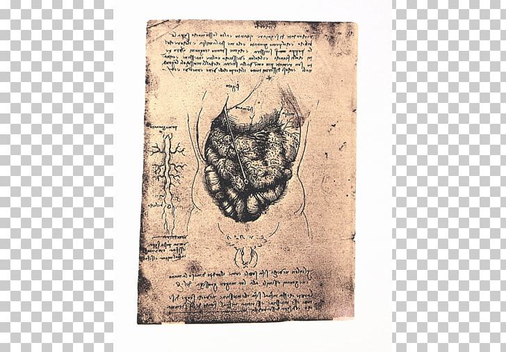 The Notebooks Of Leonardo Da Vinci Anatomy Paper Facsimile PNG, Clipart, Anatomy, Book, Codex, Dust Jacket, Facsimile Free PNG Download
