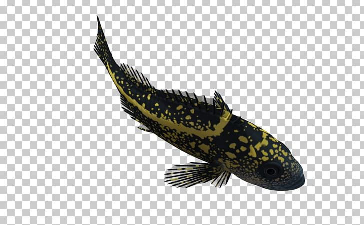 3D Computer Graphics Fish PNG, Clipart, 3d Computer Graphics, Animal, Balloon Cartoon, Cartoon, Cartoon Character Free PNG Download