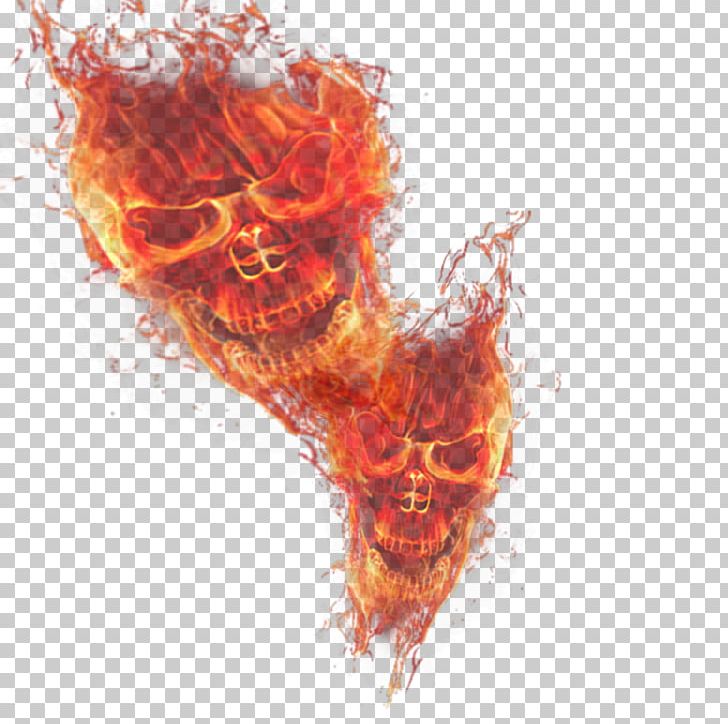 Light Fire Skull Flame PNG, Clipart, Art, Bone, Combustion, Computer Wallpaper, Desktop Wallpaper Free PNG Download