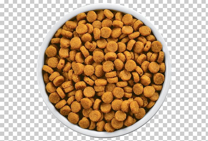 Cat Food Kanú Hill's Pet Nutrition PNG, Clipart,  Free PNG Download