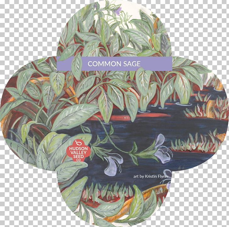 Herb Hudson Valley Seed Company Perennial Plant PNG, Clipart, Bouquet Garni, Common Sage, Deck, Flower, Fruit Free PNG Download