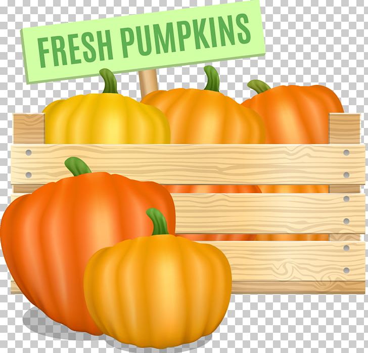 Pumpkin Calabaza Winter Squash Vegetable PNG, Clipart, Bell Peppers And Chili Peppers, Cucurbita, Diet Food, Food, Fruit Free PNG Download