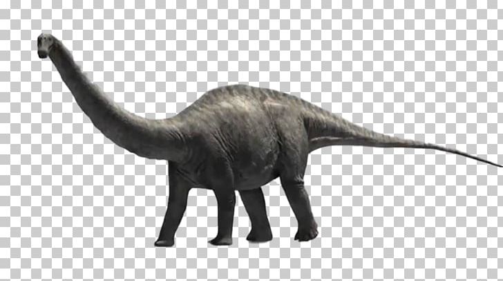 Apatosaurus Diplodocus Brachiosaurus Dinosaur Tyrannosaurus PNG, Clipart, Animal, Animal Figure, Apatosaurus, Brachiosaurus, Brontosaurus Free PNG Download