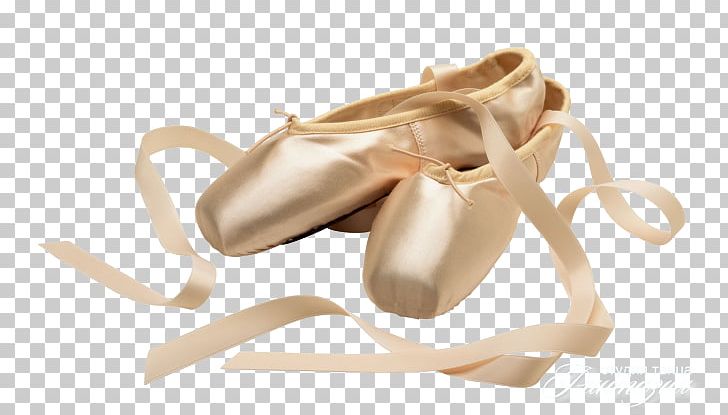 Ballet Shoe Ballet Dancer Pointe Shoe Pointe Technique PNG, Clipart, Ballet, Ballet Dancer, Ballet Flat, Ballet Shoe, Barre Free PNG Download