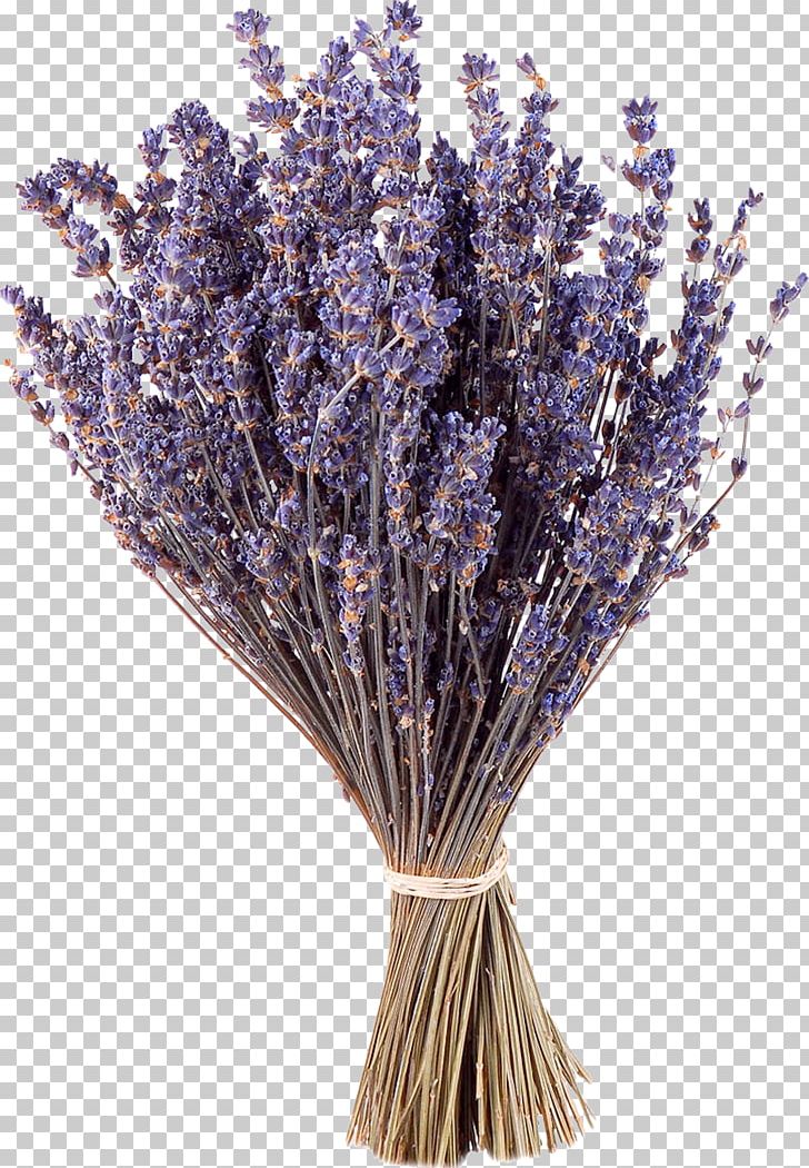 Lavender Purple Flower Google S PNG, Clipart, Artificial Flower, Branch, Color, English Lavender, Flower Free PNG Download