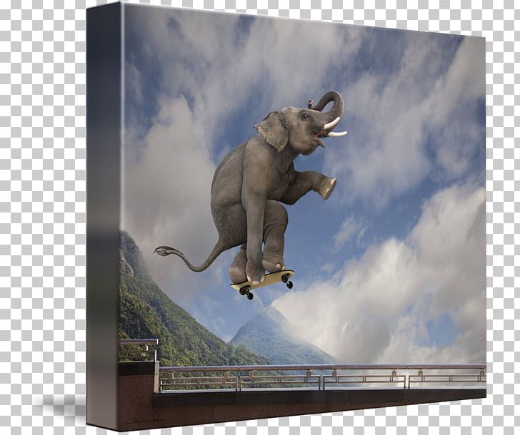 Asian Elephant Canvas Gallery Wrap Art PNG, Clipart, Art, Art Museum, Asia, Asian Elephant, Canvas Free PNG Download