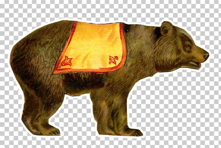 Brown Bear Circus PNG, Clipart, Animals, Art, Bear, Bears, Brown Free PNG Download