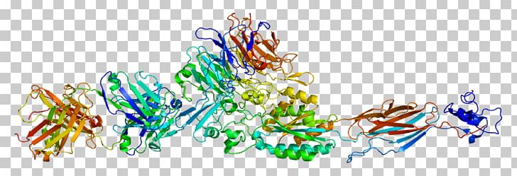ITGA2B Integrin Glycoprotein Alpha Chain PNG, Clipart, 2 B, Alpha Chain, Biological Membrane, Computer Wallpaper, Gene Free PNG Download