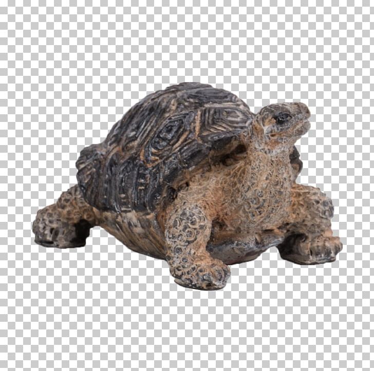 Miniature Pig Box Turtle Tortoise Reptile PNG, Clipart, Animal, Animal Figure, Animals, Box Turtle, Chelydridae Free PNG Download