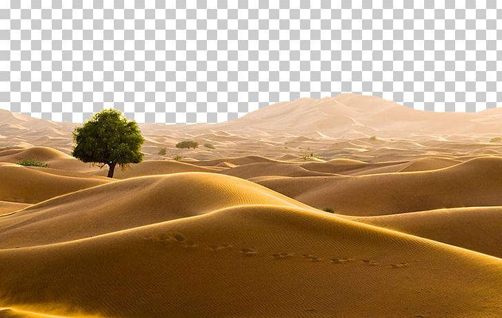 Oman Sahara Bahrain Desert Travel PNG, Clipart, Aeolian Landform, Agricultural Land, Badlands, Candy Land, Computer Wallpaper Free PNG Download
