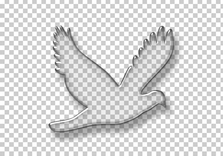 Water Bird Wing Beak Feather PNG, Clipart, Animal, Animals, Beak, Biezumd, Bird Free PNG Download