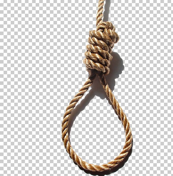 Suicide By Hanging Knot Noose Suicide By Hanging PNG, Clipart, Artificial Grass, Capital Punishment, Chain, Charles And Ray Eames, Grass Free PNG Download