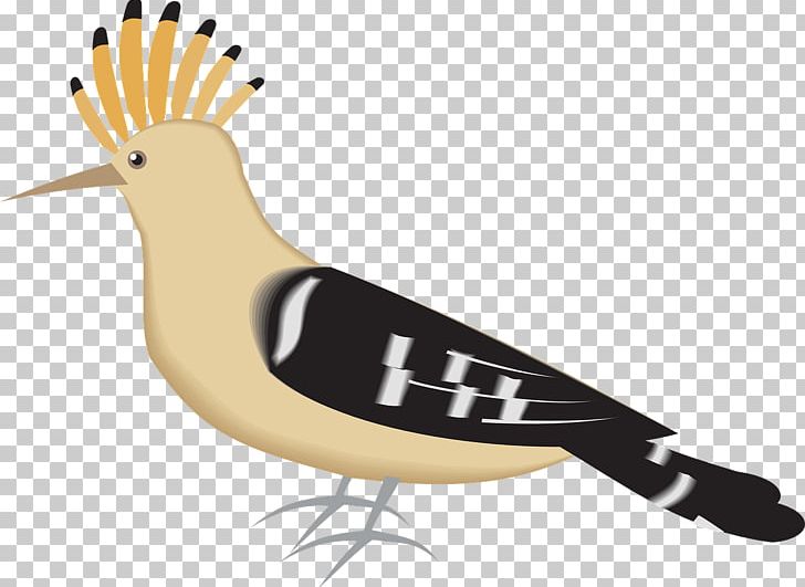 Bird Hoopoe Drawing PNG, Clipart, Animals, Art, Beak, Bird, Computer Icons Free PNG Download