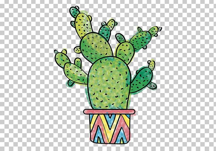 Cactaceae Drawing Succulent Plant San Pedro Cactus PNG, Clipart, Amphibian, Astrophytum Asterias, Cactaceae, Cactus, Caryophyllales Free PNG Download
