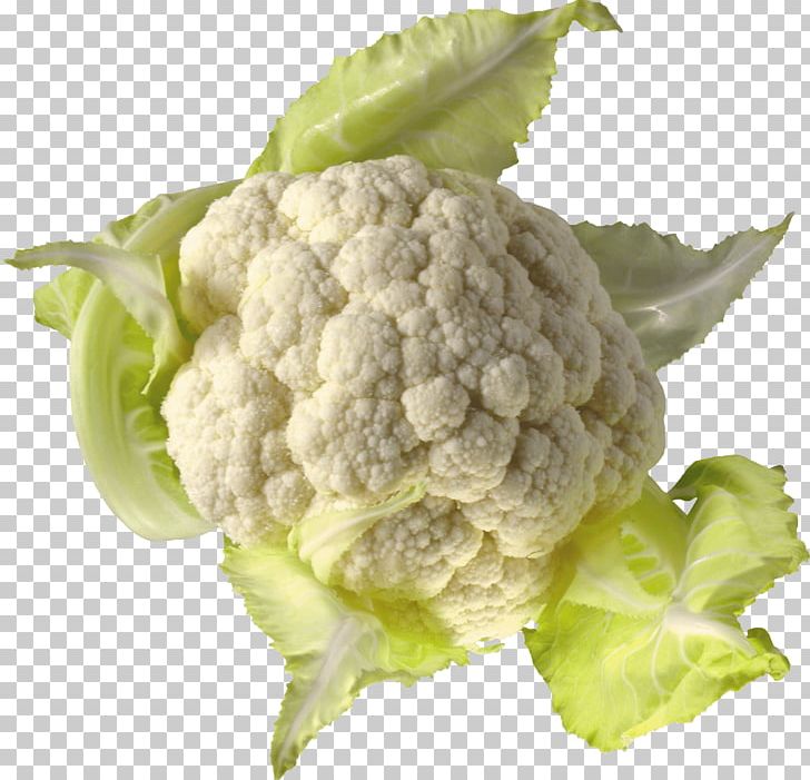 Cauliflower Savoy Cabbage Broccoli Brussels Sprout PNG, Clipart, Brassica Oleracea, Broccoflower, Broccoli, Cabbage, Cabbage Family Free PNG Download
