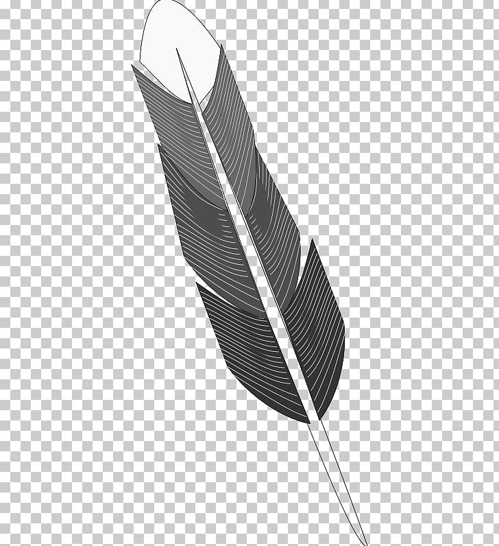 Feather Grayscale Black And White Drawing PNG, Clipart, Animals, Black And White, Color, Coloring Book, Drawing Free PNG Download