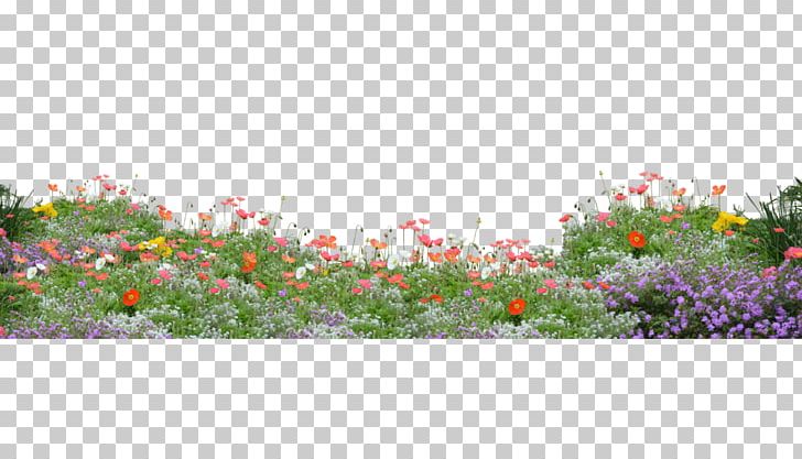 Flower Floral Design Poppy PNG, Clipart, Flora, Floristry, Flower Arranging, Flower Garden, Flowering Plant Free PNG Download