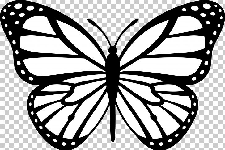 Monarch Butterfly Outline PNG, Clipart, Abstract, Area, Arthropod, Bicycle Wheel, Black And White Free PNG Download