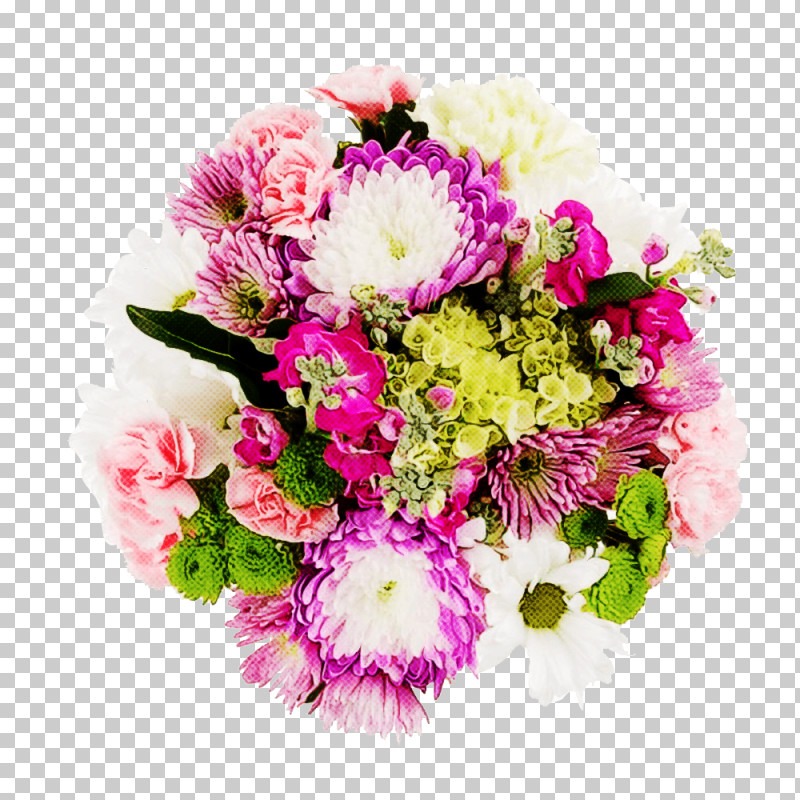 Floral Design PNG, Clipart, Annual Plant, Aster, Biology, Chrysanthemum, Cut Flowers Free PNG Download