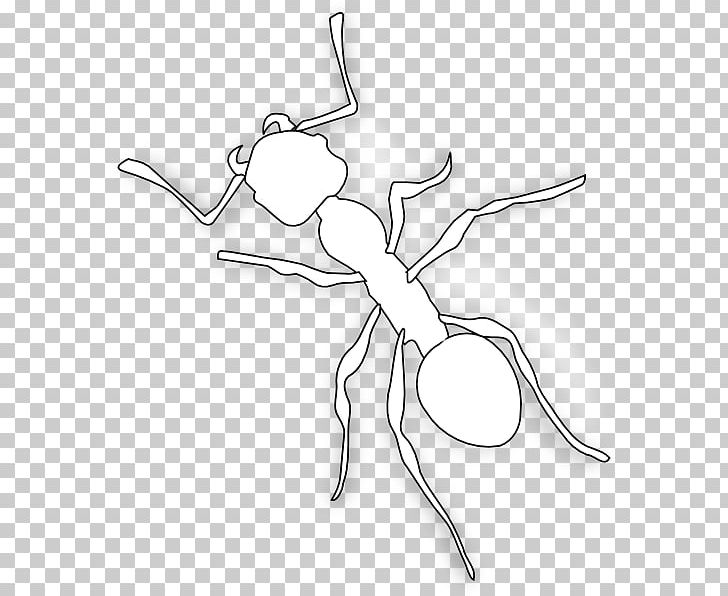 Ant Line Art PNG, Clipart, Ant, Ants, Army Ant, Artwork, Black And White Free PNG Download