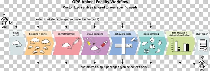 In Vivo Model Organism Research Ex Vivo Animal PNG, Clipart, Animal, Animal Model Of Autism, Area, Biology, Cell Free PNG Download