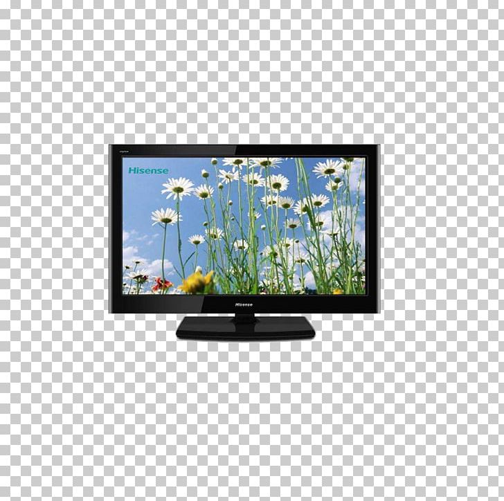 Mobile Phone WUXGA 1080p High-definition Television Super Extended Graphics Array PNG, Clipart, Appliance, Appliances, Botany, Grass, Household Free PNG Download