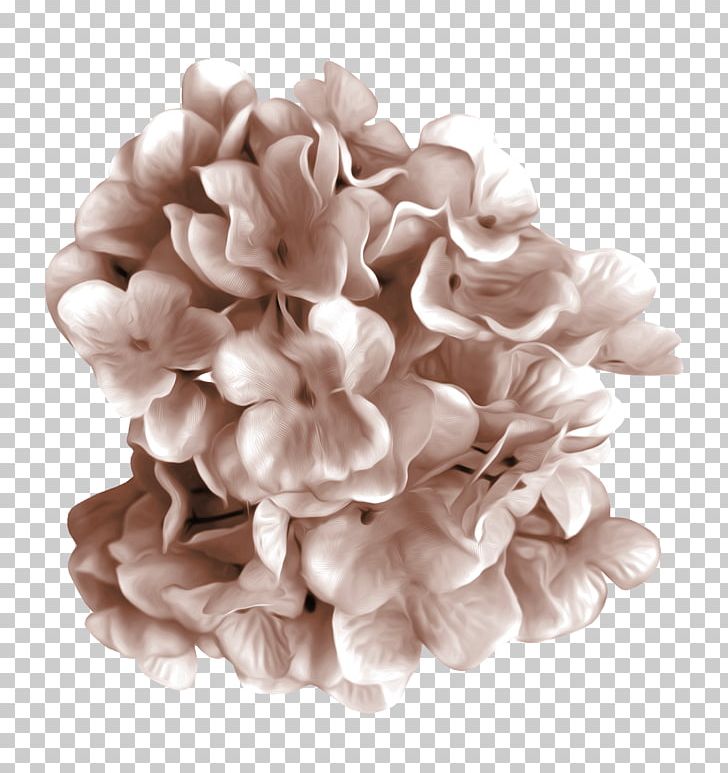 Petal Cut Flowers PNG, Clipart, Cut Flowers, Flower, Lilac, Mariage, Others Free PNG Download