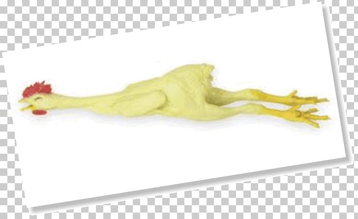 Rubber Chicken Organism Natural Rubber PNG, Clipart, Animals, Chicken, Improve, Joint, Natural Rubber Free PNG Download