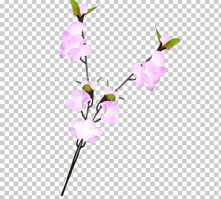 Cut Flowers Floral Design Twig PNG, Clipart, Blog, Blossom, Branch, Cherry Blossom, Cut Flowers Free PNG Download