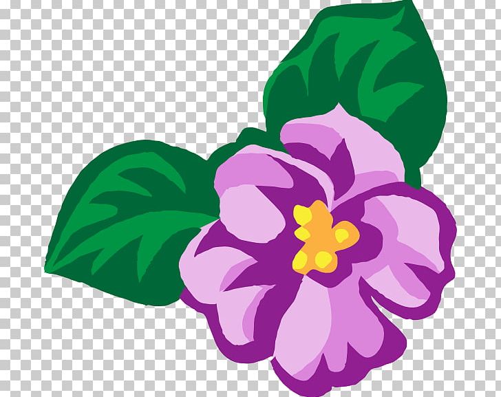 African Violets Viola Cucullata PNG, Clipart, African Violets, Blog, Blue, Clip Art, Flora Free PNG Download