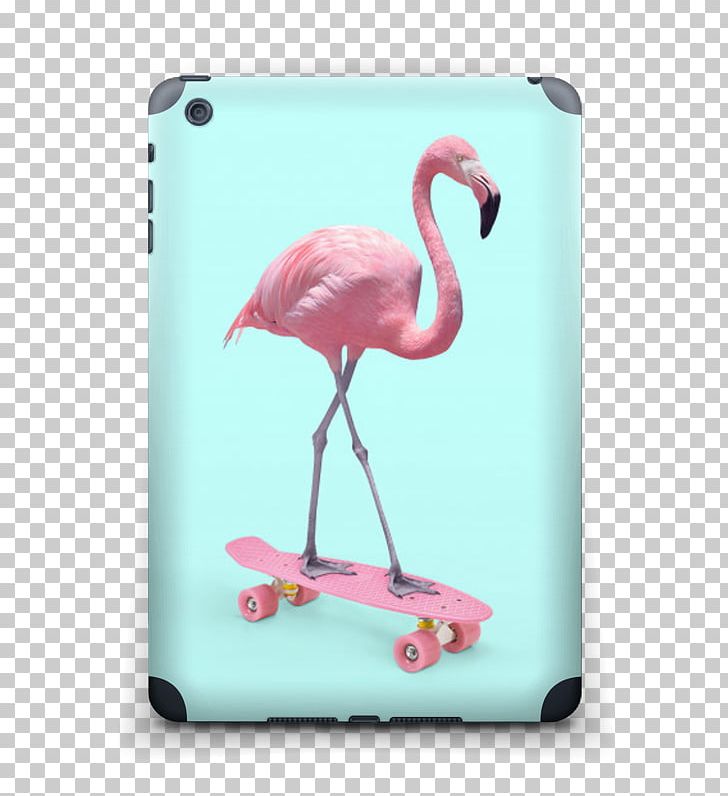 Flamingos Kollwitz Internet Graphic Designer PNG, Clipart, Art, Beak, Bird, Canvas, Designer Free PNG Download