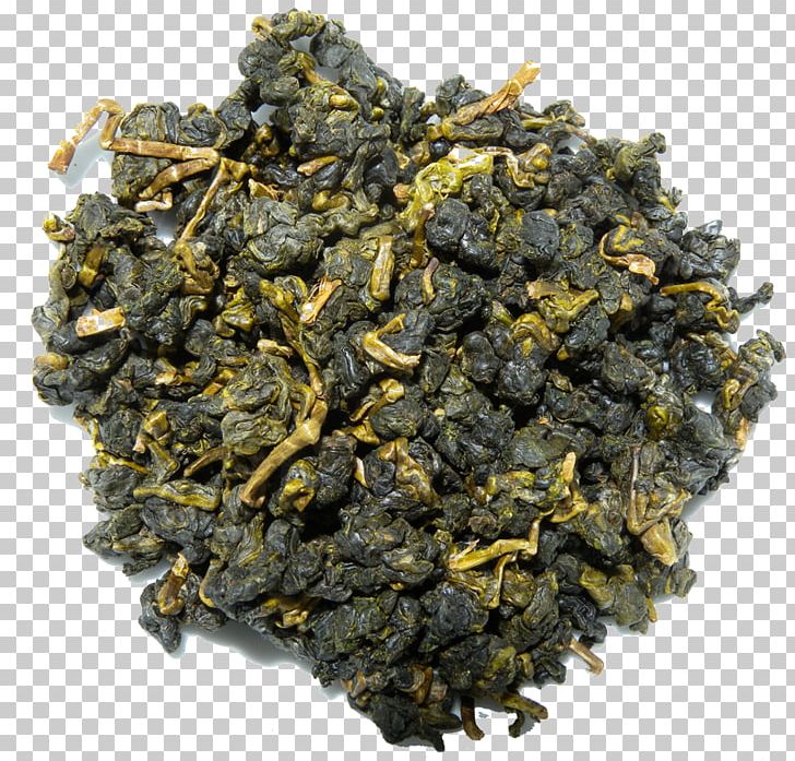 Gunpowder Tea Oolong Nilgiri Tea Green Tea PNG, Clipart, Assam Tea, Bancha, Ceylon Tea, Da Hong Pao, Darjeeling Tea Free PNG Download