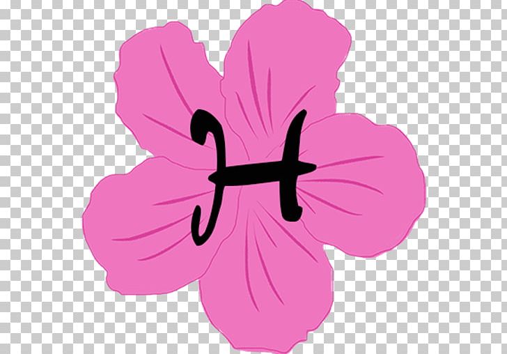Hibiscus Pink M Petal PNG, Clipart, 3 D Games, App, Art, Design M, Flower Free PNG Download