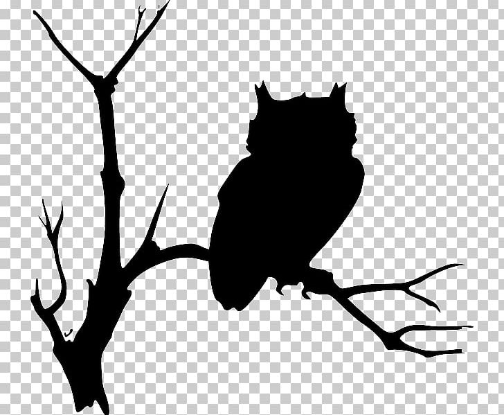 Barn Owl Drawing PNG, Clipart, Artwork, Bat, Beak, Bird, Black Free PNG Download
