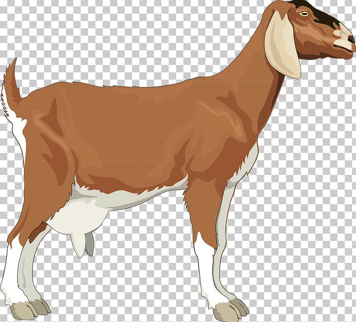 Boer Goat Black Bengal Goat PNG, Clipart, Animals, Black Bengal Goat, Boer Goat, Brown, Brown Background Free PNG Download