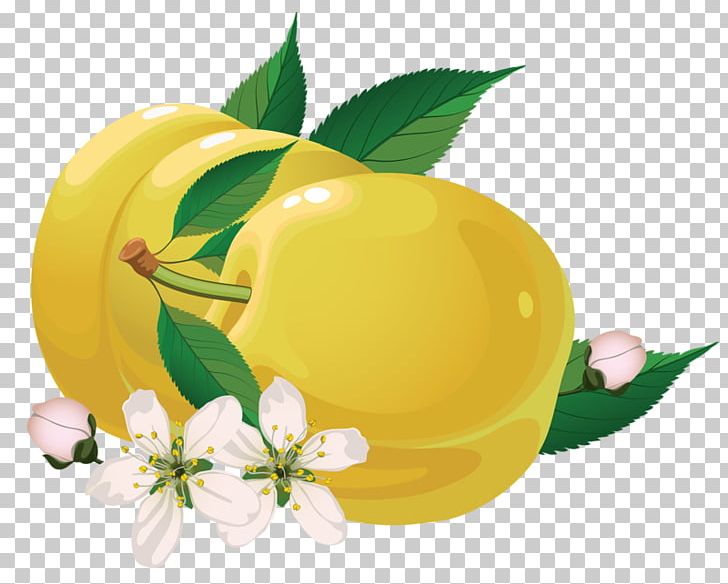 Fruit Photography Illustration PNG, Clipart, Adobe Illustrator, Apple, Apple Fruit, Auglis, Euclidean Vector Free PNG Download