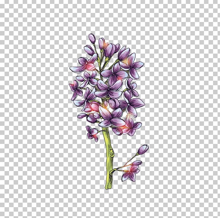 Lilac Syzygium Aromaticum Violet PNG, Clipart, Color, Cut Flowers, Encapsulated Postscript, Flora, Floral Design Free PNG Download
