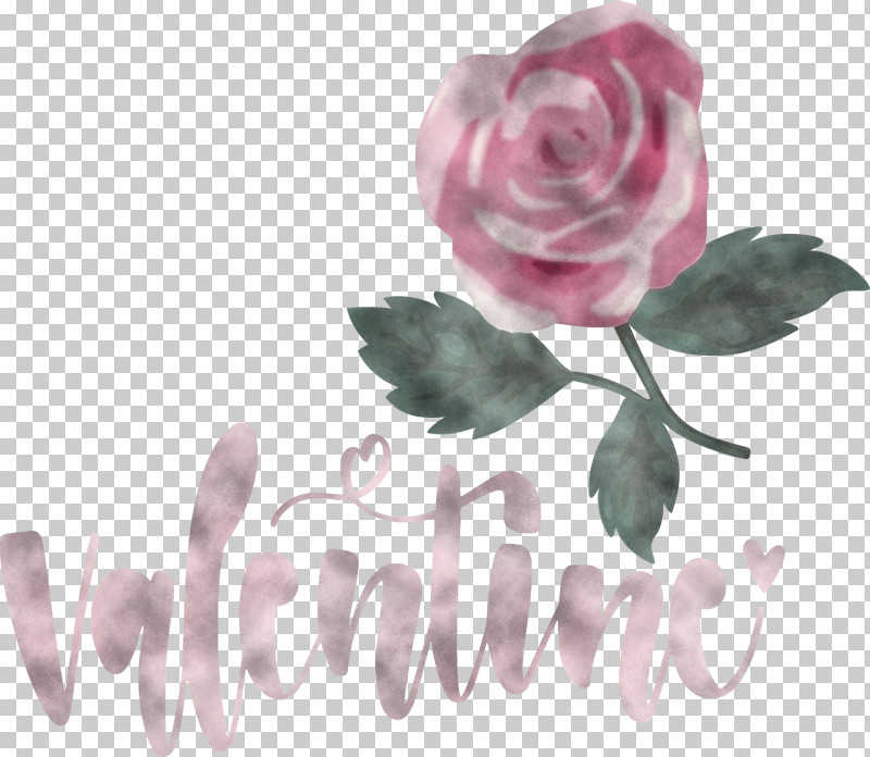 Valentines Day Valentine Love PNG, Clipart, Cabbage Rose, Cut Flowers, Floral Design, Flower, Garden Free PNG Download