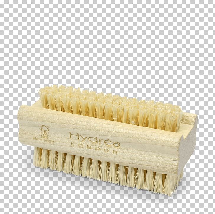 Bristle Hairbrush Nail Hydroxycarbamide PNG, Clipart, Bath Sponge, Bristle, Brush, Cactaceae, Hairbrush Free PNG Download