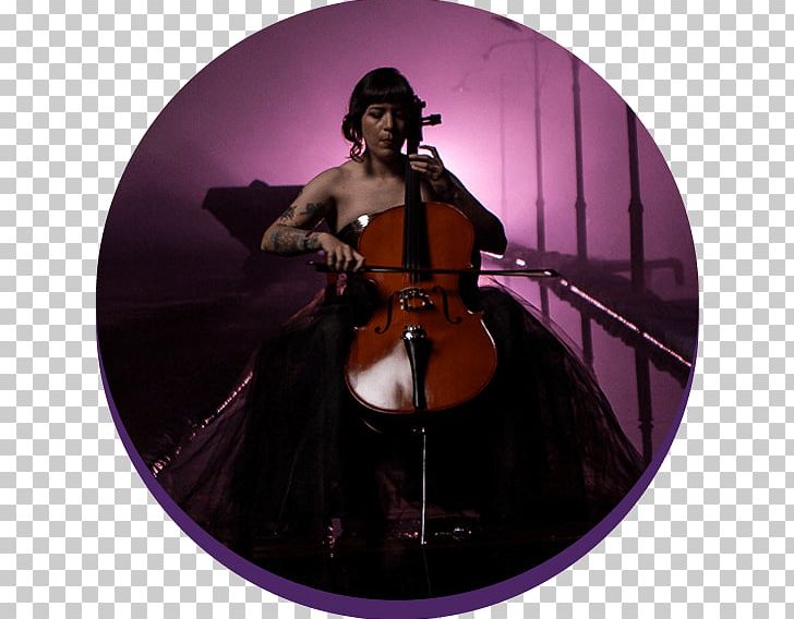 Cello Double Bass Violin Fiddle Tololoche PNG, Clipart, Bass Guitar, Bowed String Instrument, Cellist, Cello, Double Bass Free PNG Download
