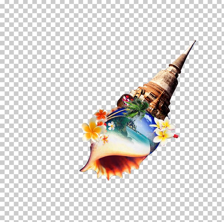 Conch PNG, Clipart, Architecture, Cartoon Conch, Computer Wallpaper, Conch, Conchs Free PNG Download