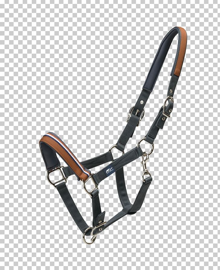 Halter Horse Lead Rope Leather PNG, Clipart, Animals, Anna, Artificial Leather, Bespoke, Bit Free PNG Download