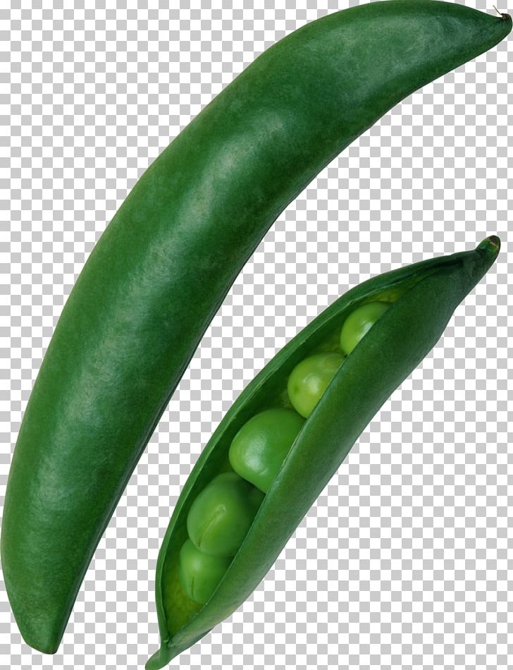 Common Bean Snow Pea Silique Green Bean PNG, Clipart, Bean, Bell Peppers And Chili Peppers, Chili Pepper, Common Bean, Food Free PNG Download