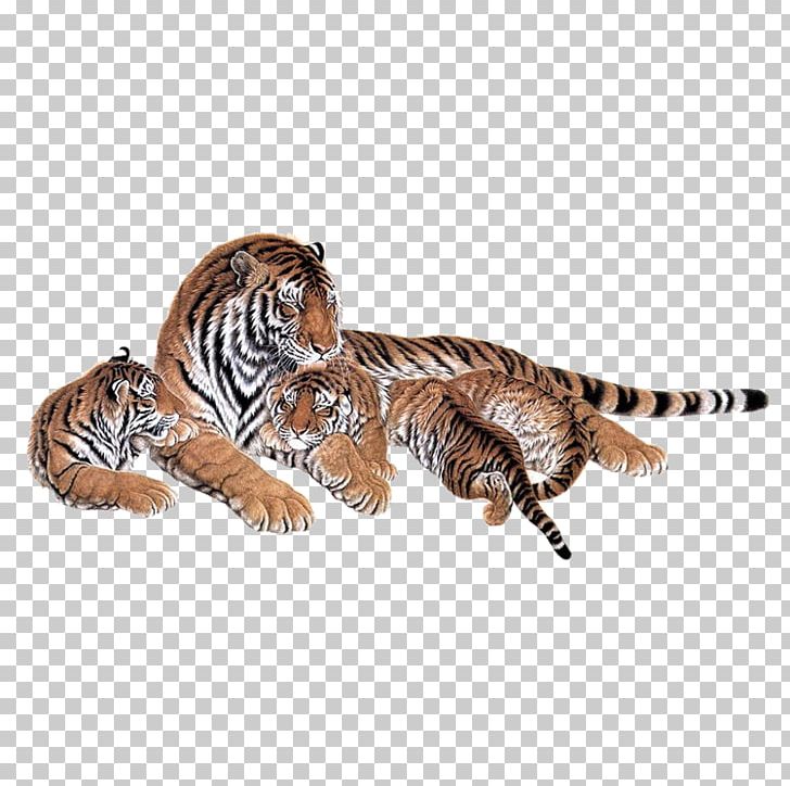 Siberian Tiger Lion Bengal Tiger Cat Animal PNG, Clipart, Animals, Big Cat, Big Cats, Blingee, Carnivoran Free PNG Download