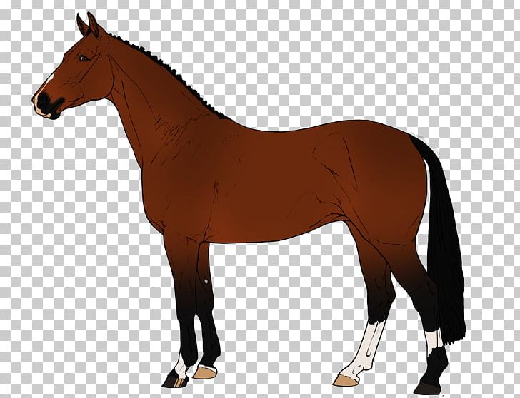 Stallion Arabian Horse Mare Mustang Mane PNG, Clipart, Animal Figure, Arabian Horse, Beswick Pottery, Breed, Bridle Free PNG Download