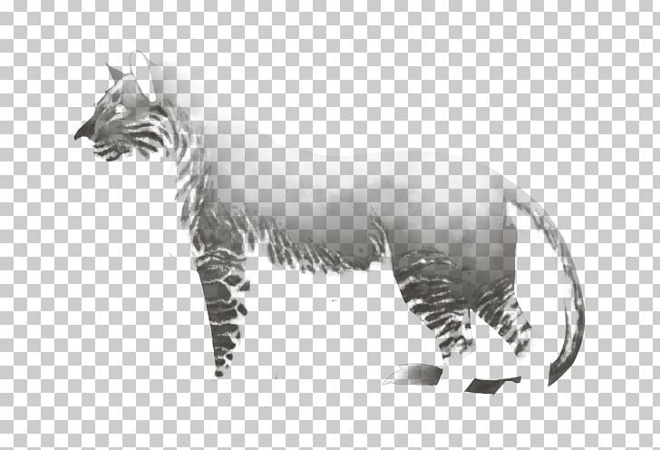 Whiskers Tiger Cat Drawing Terrestrial Animal PNG, Clipart, Animal, Animals, Big Cat, Big Cats, Black And White Free PNG Download